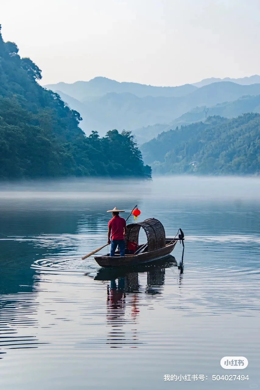 2025全年旅游报告