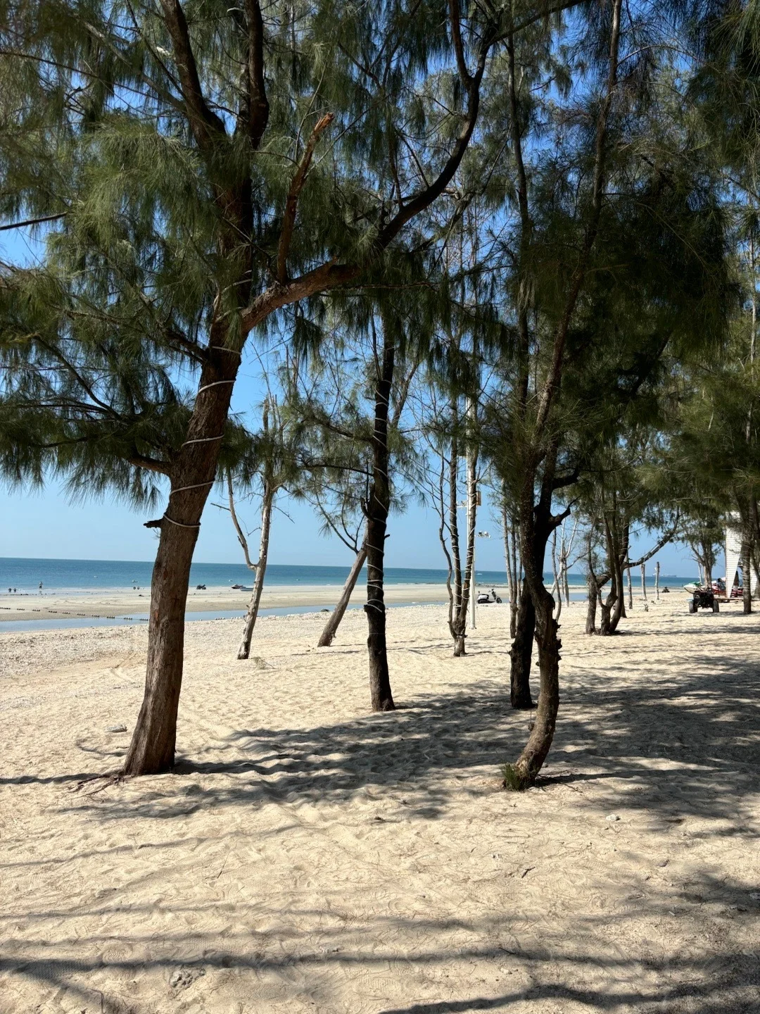 1.17📍涠洲岛现状...在崩溃边缘😭