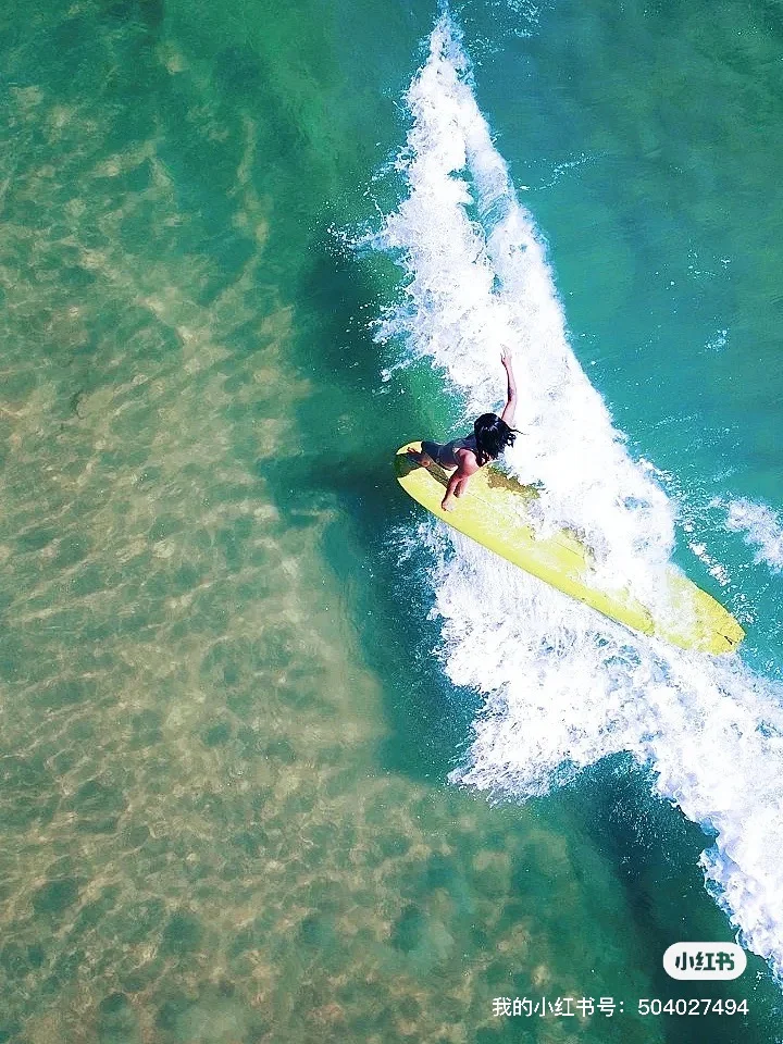 2025全年旅游报告