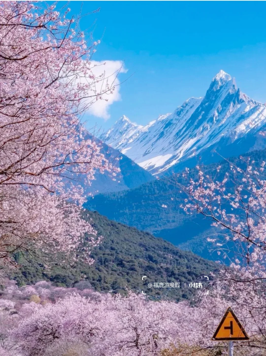 2024国内旅游清单|每个月适合去的旅行