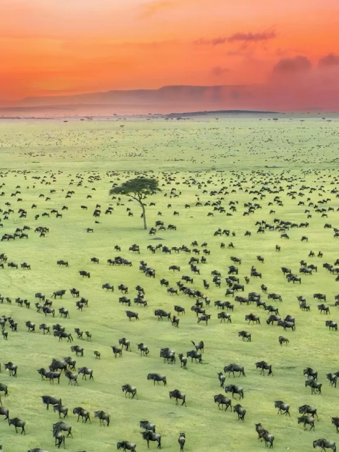 离谱‼️出国游真的有鄙视链😰