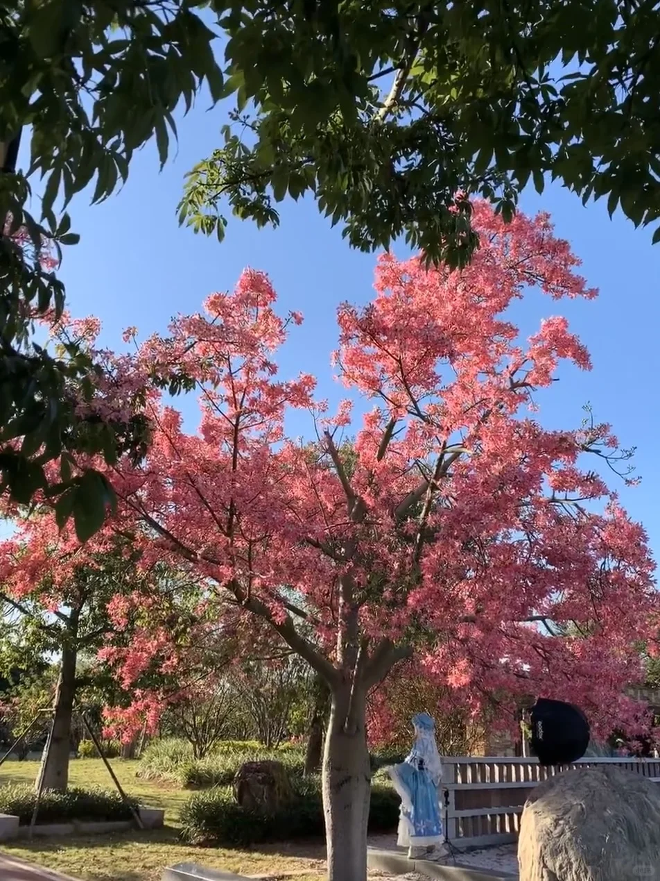 适🈴12-2🈷️穷游的十大城市❗️真的要去⭕️