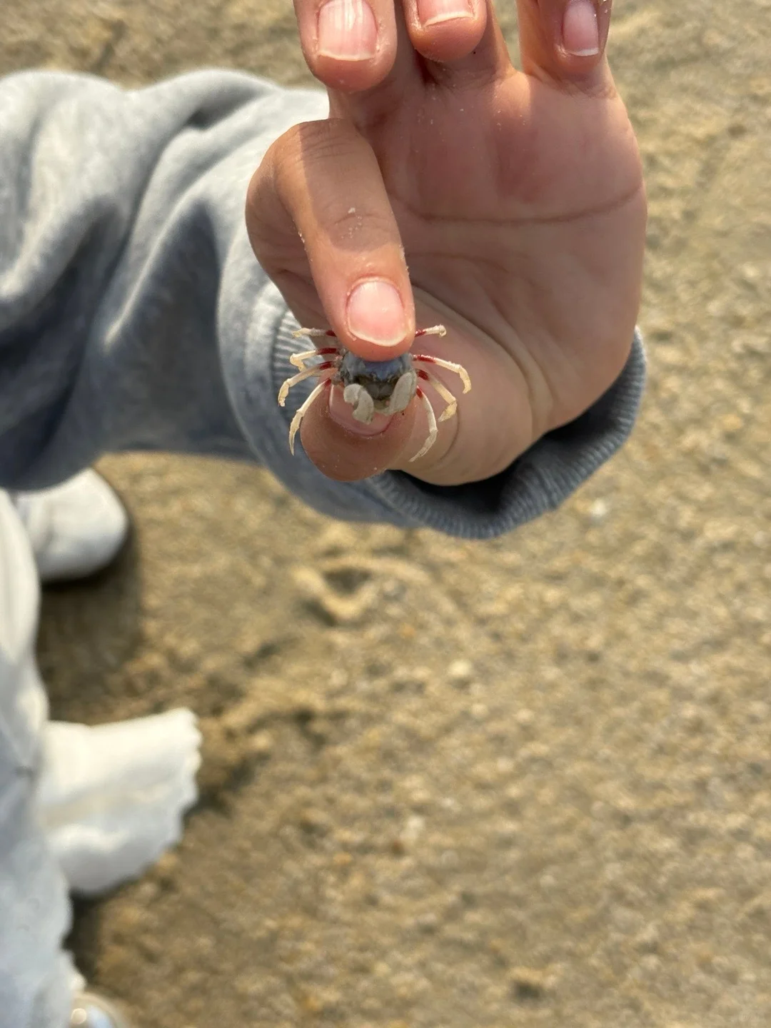 实话虽然难听……但这就是北海旅游现状😭