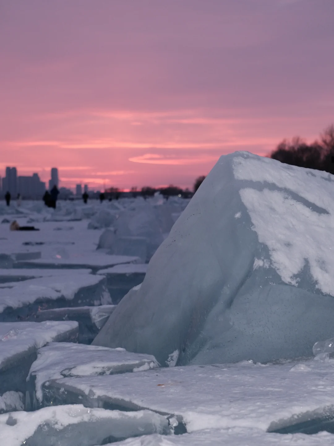 1.17📍哈尔滨已逃，崩溃了🥶说点大实话
