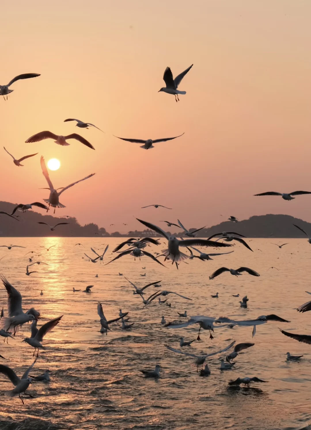 人生清单｜20+岁一定要探寻的梦幻之旅！