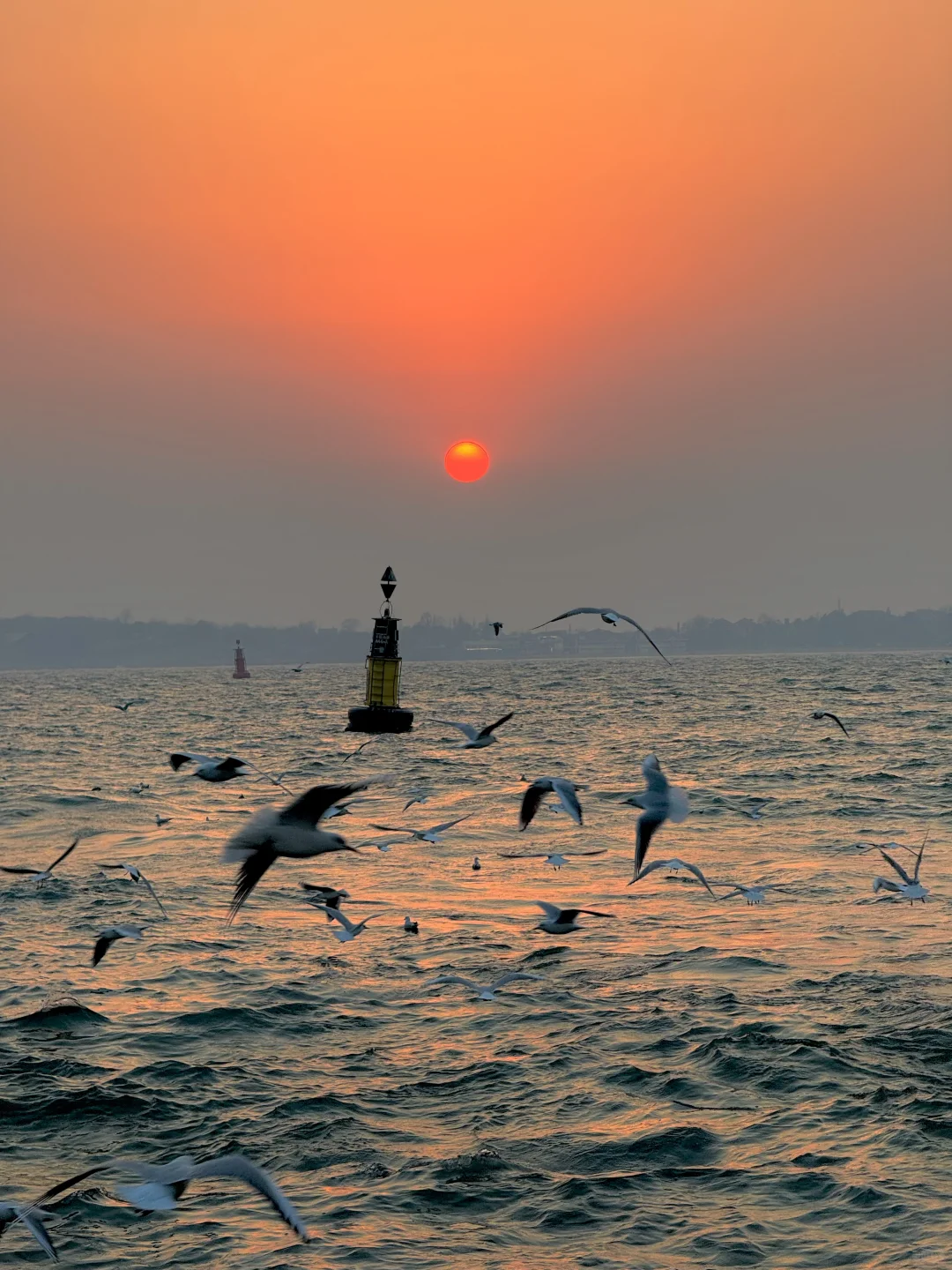 1.13青岛实况！！！落日封神了。。。。