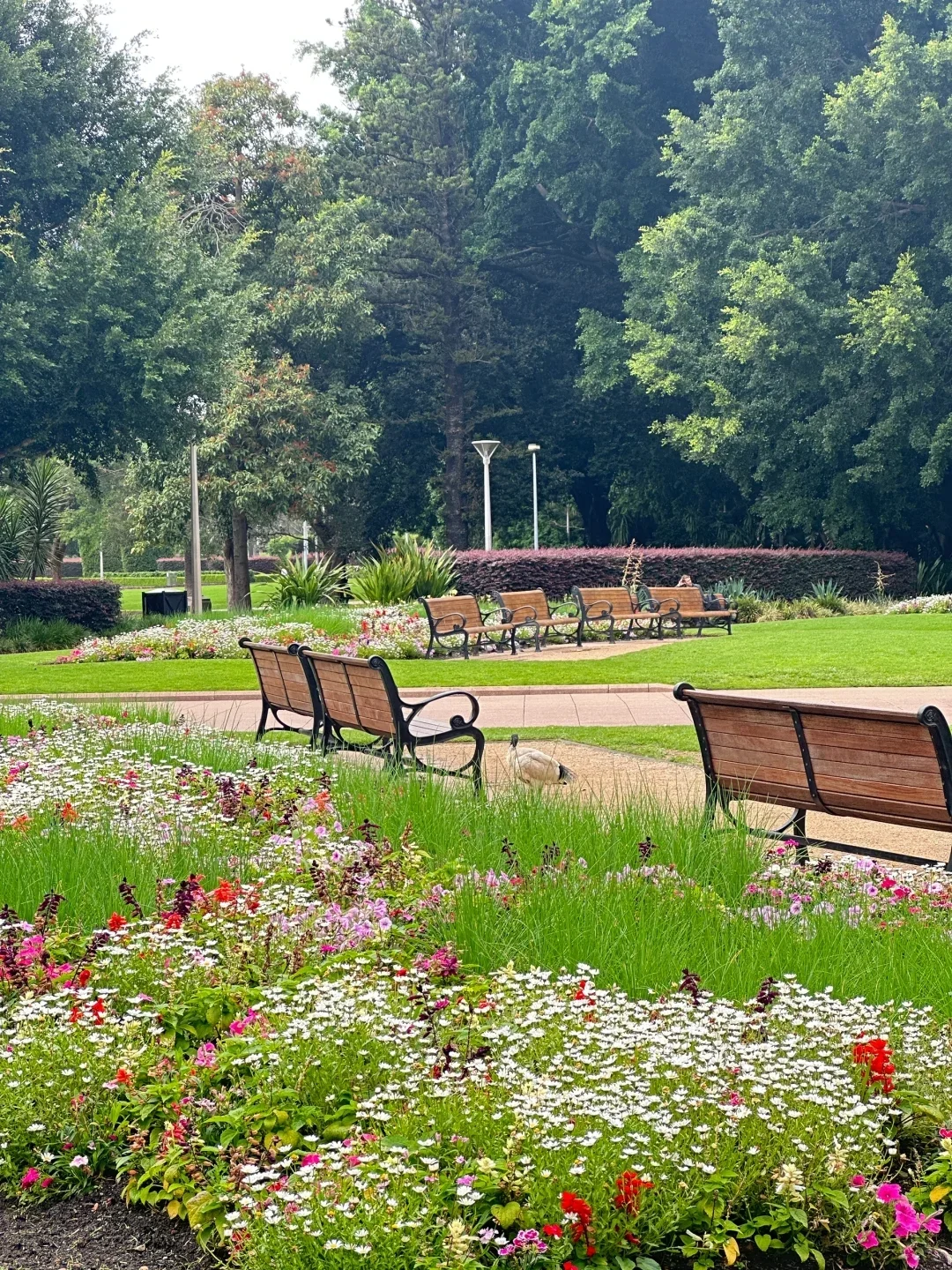 既然决定去澳大利亚，这些事情一定不要做..