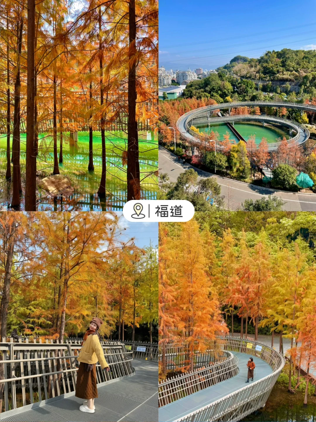 春节小众旅行！淡季的福州真是人间理想！