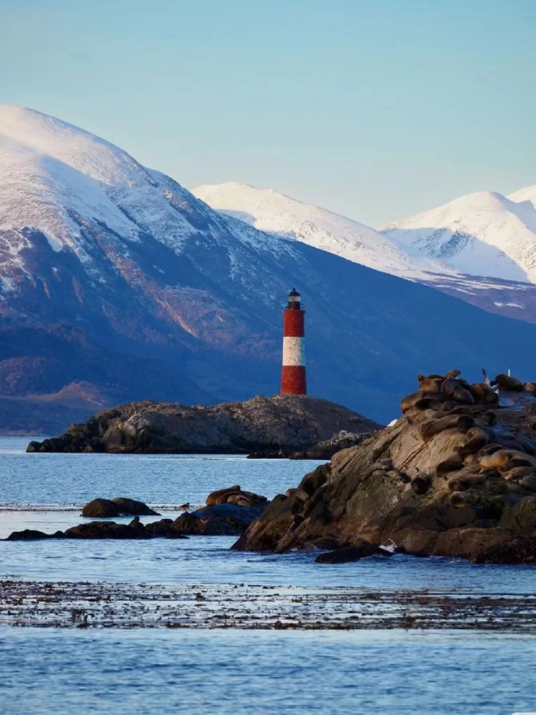 离谱‼️出国游真的有鄙视链😰