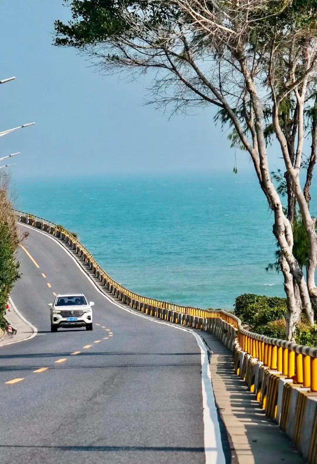 1月份来南澳岛……已冻晕……根本不是想的那样！