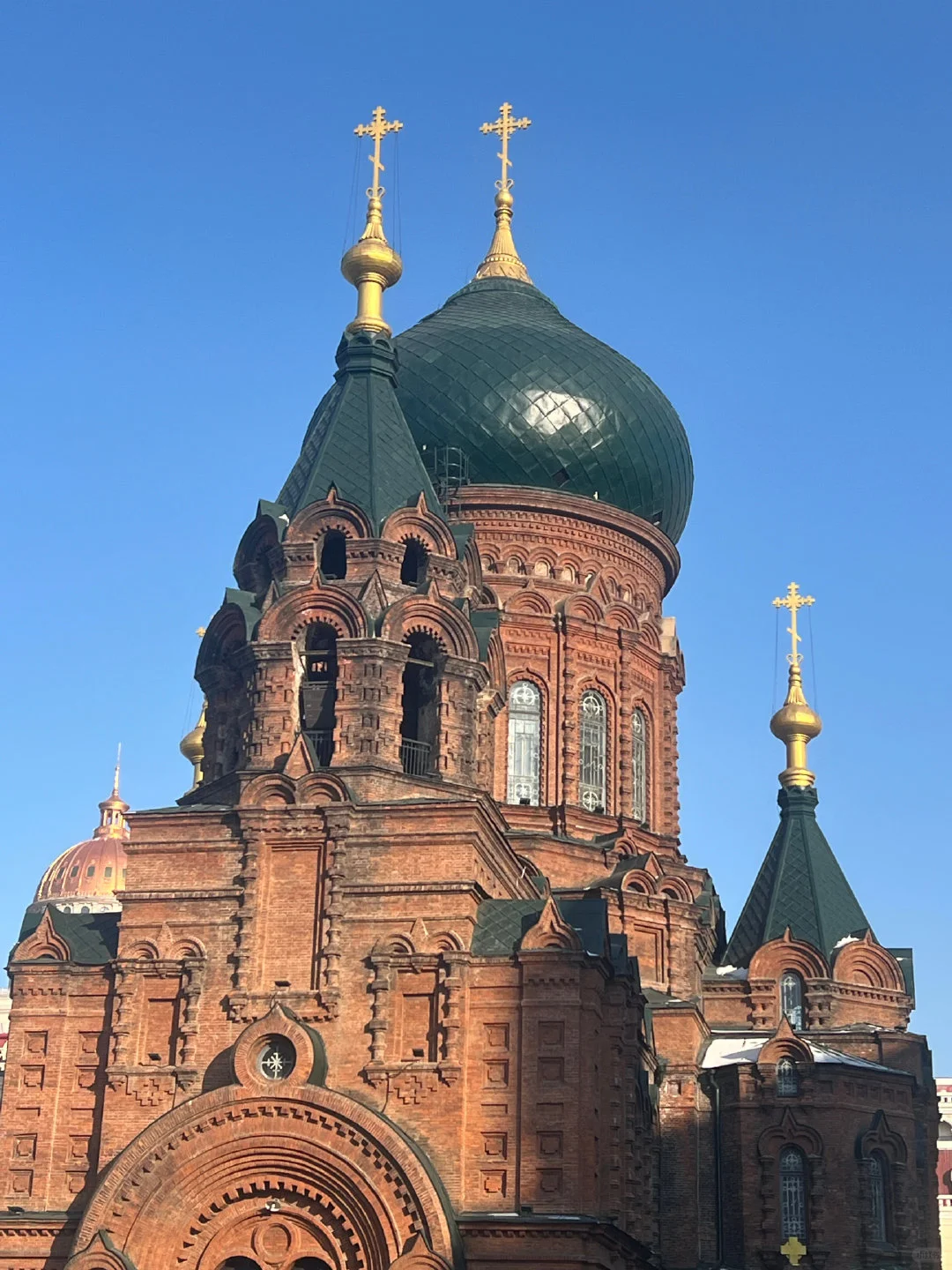 1.17📍哈尔滨已逃，崩溃了🥶说点大实话