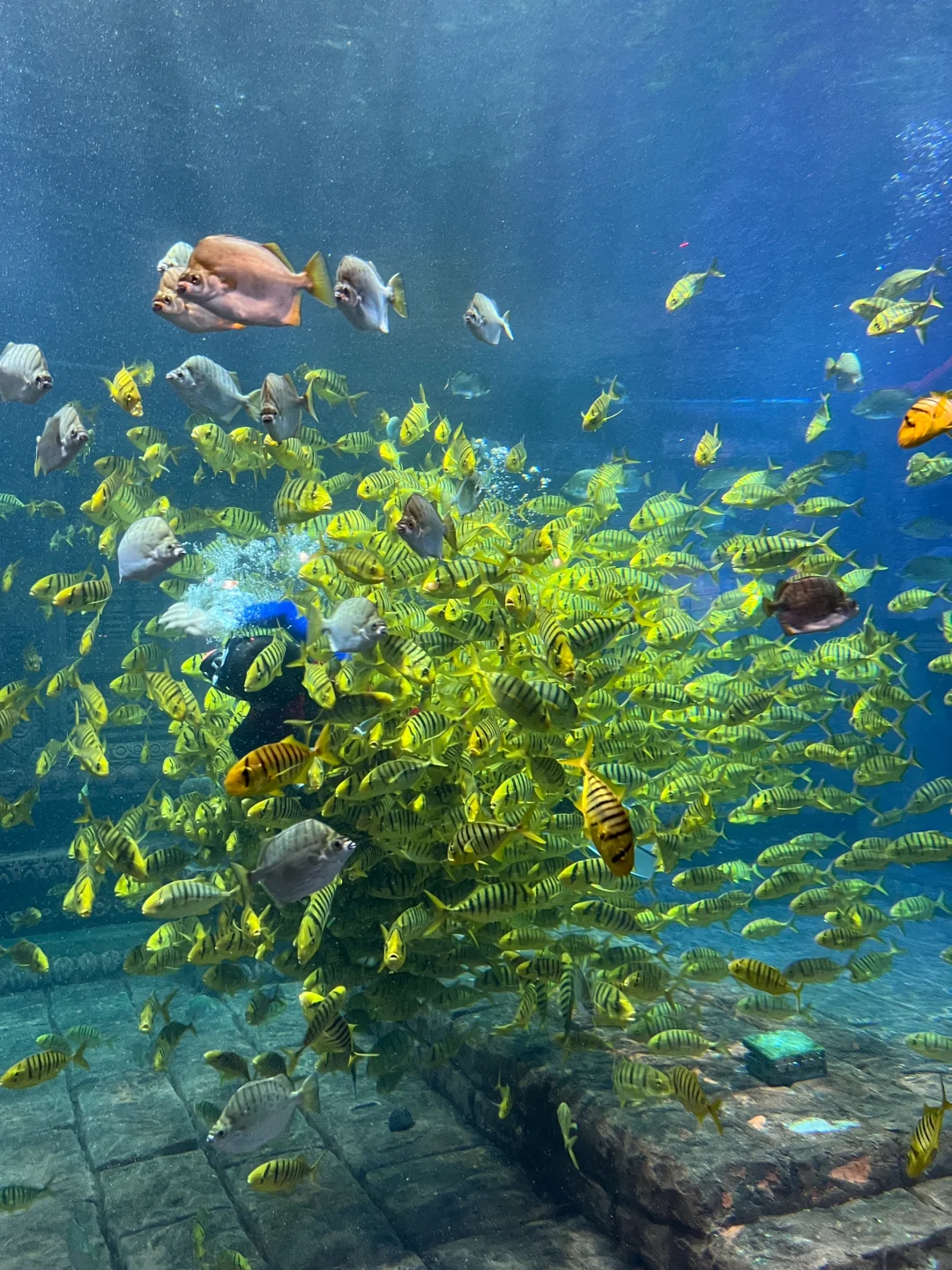 实话难听，但这就是春节北海旅游真实现状