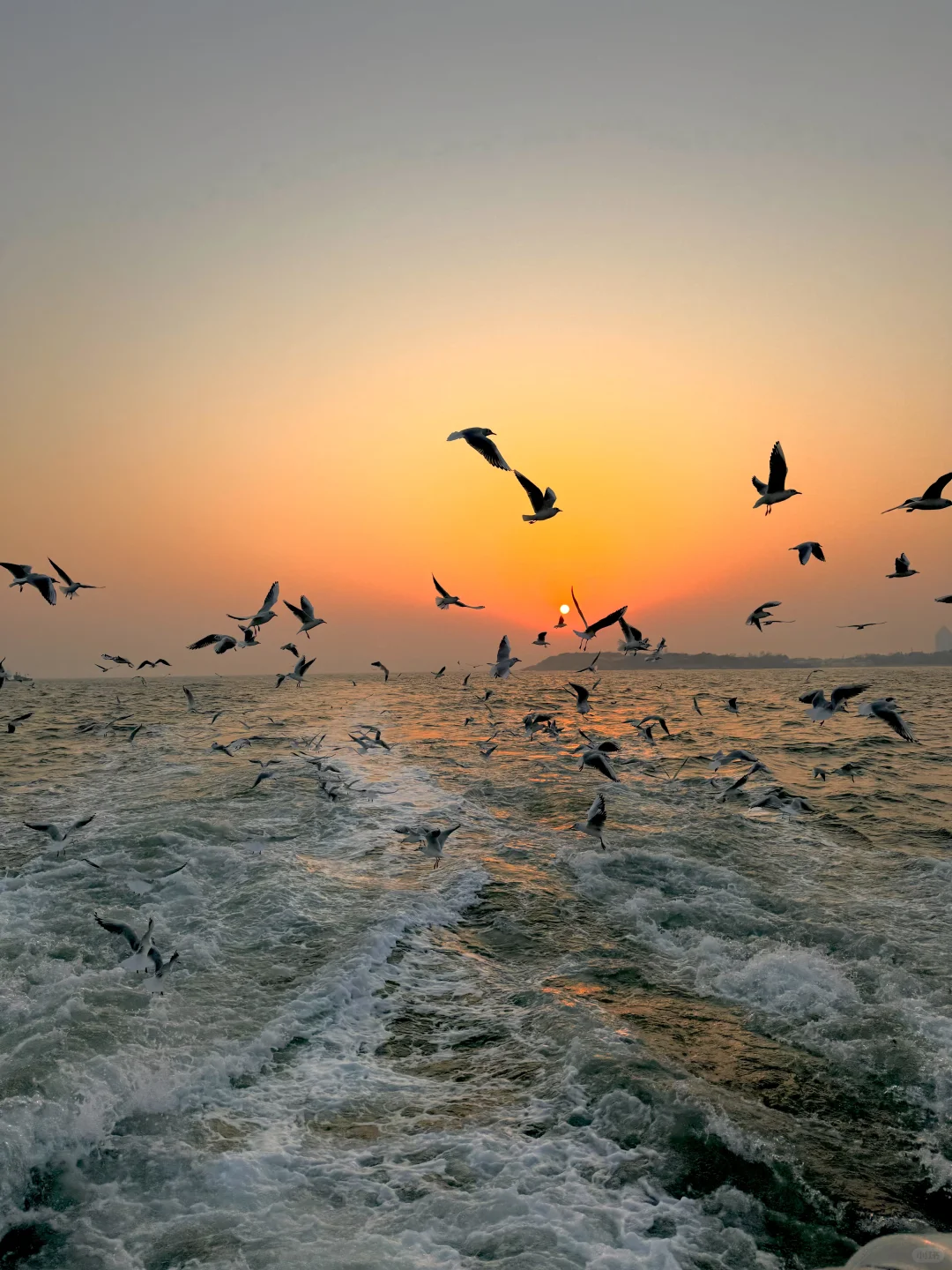 1.13青岛实况！！！落日封神了。。。。