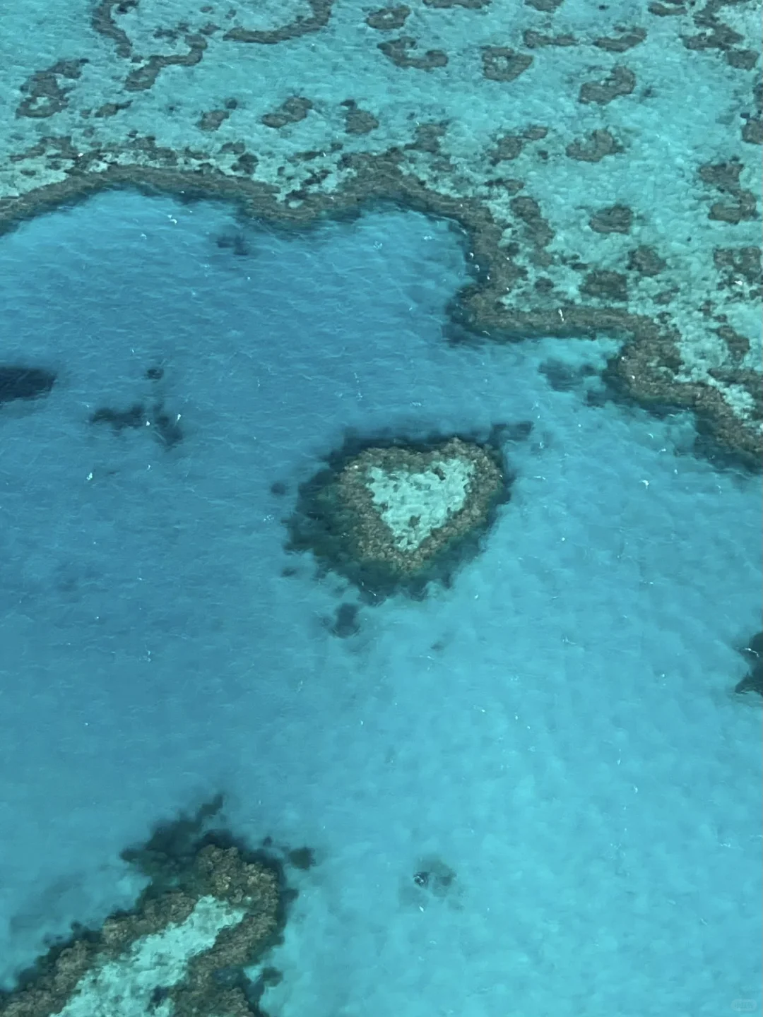 既然决定去澳大利亚，这些事情一定不要做..