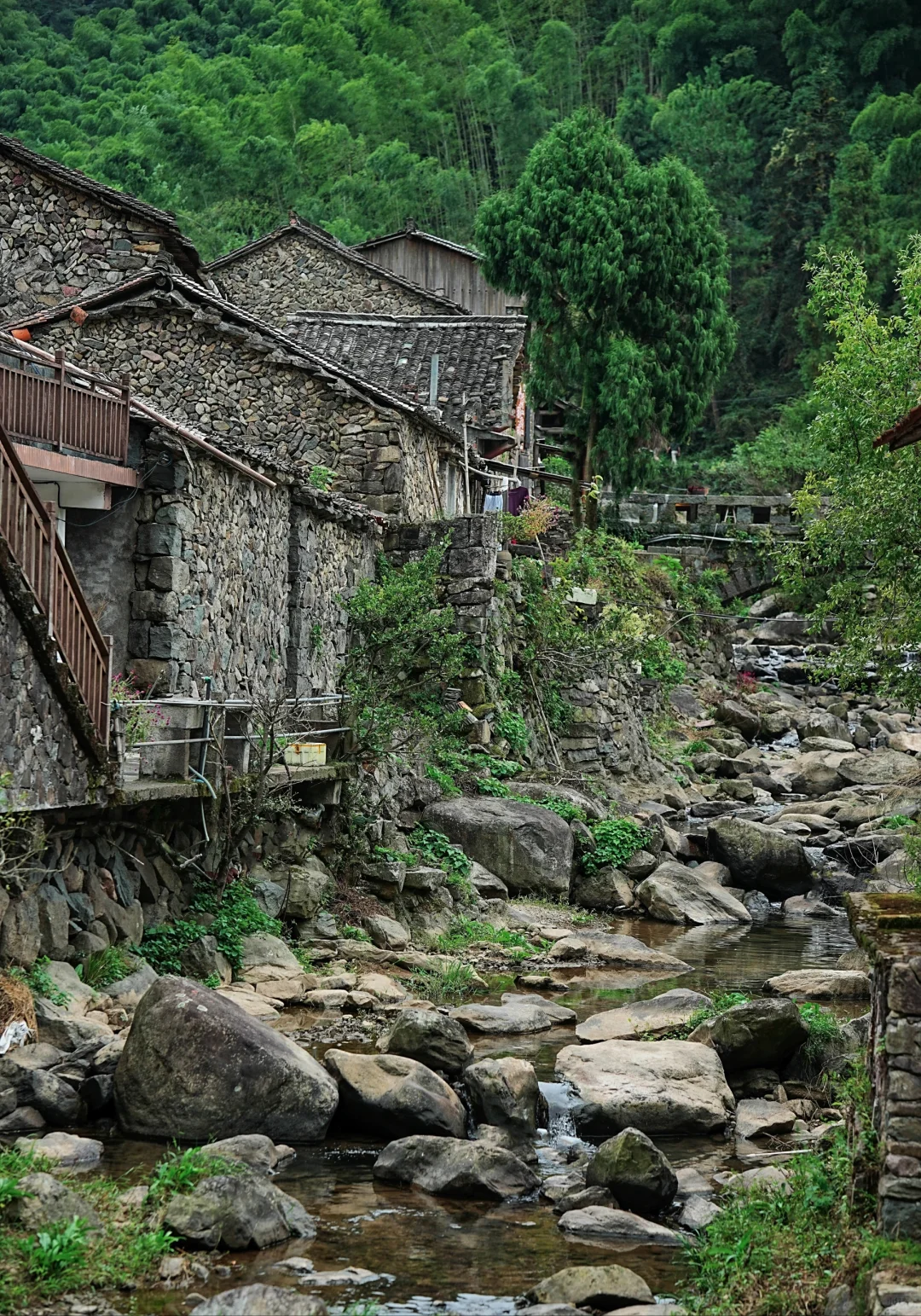 这才是江浙沪真正冷门的、冬季旅行地！