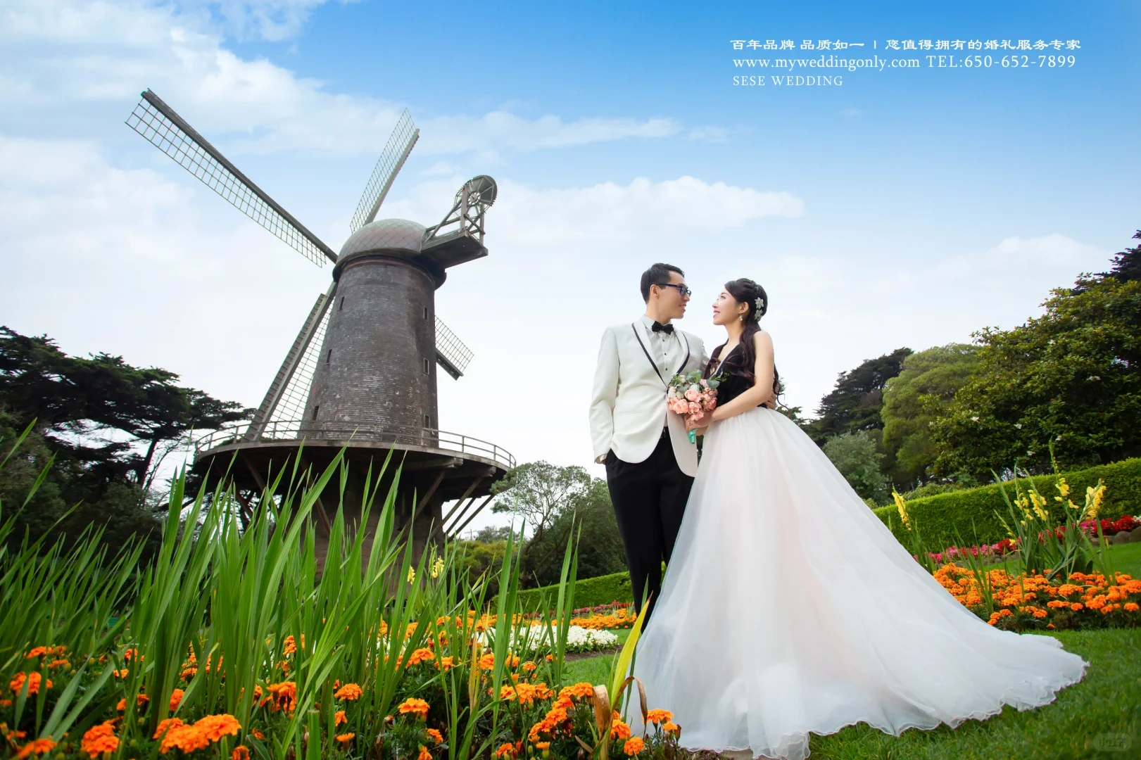 色色|加州单景点精选——荷兰风车