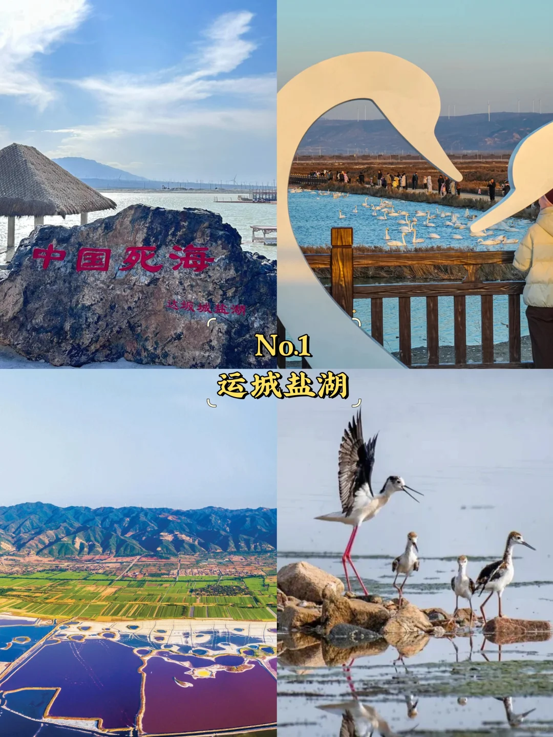 运城必去9大景点‼️运城旅游必看❗️