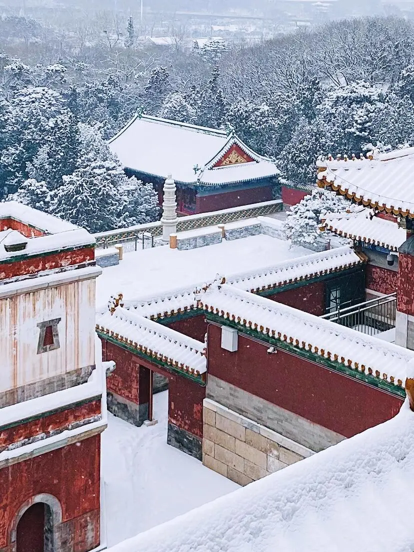 不做攻略了，这样玩太省心啦😍|北京定制