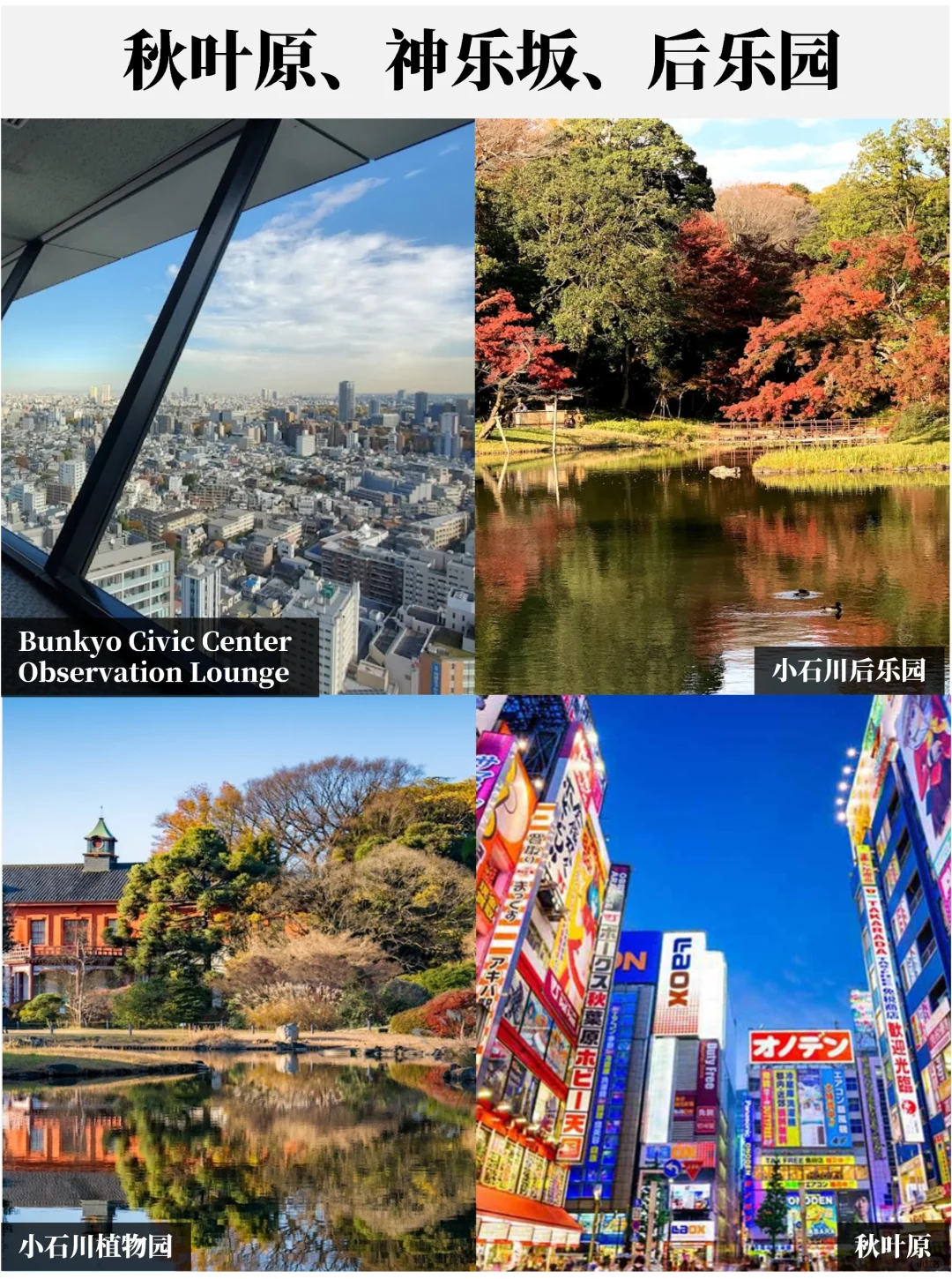 东京超全景点盘点🤙赶紧收藏码住❗️