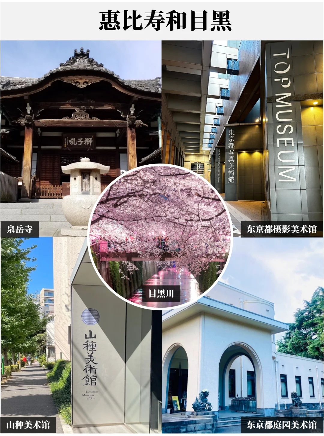 东京超全景点盘点🤙赶紧收藏码住❗️