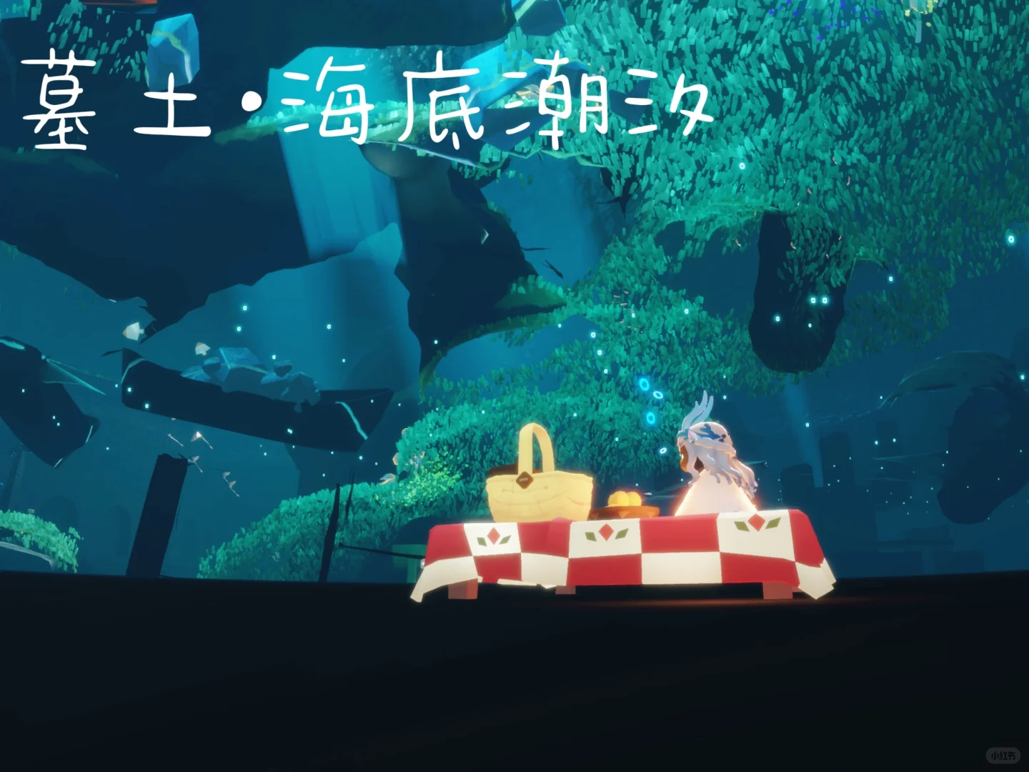 光遇风景第一期 | 单人可去