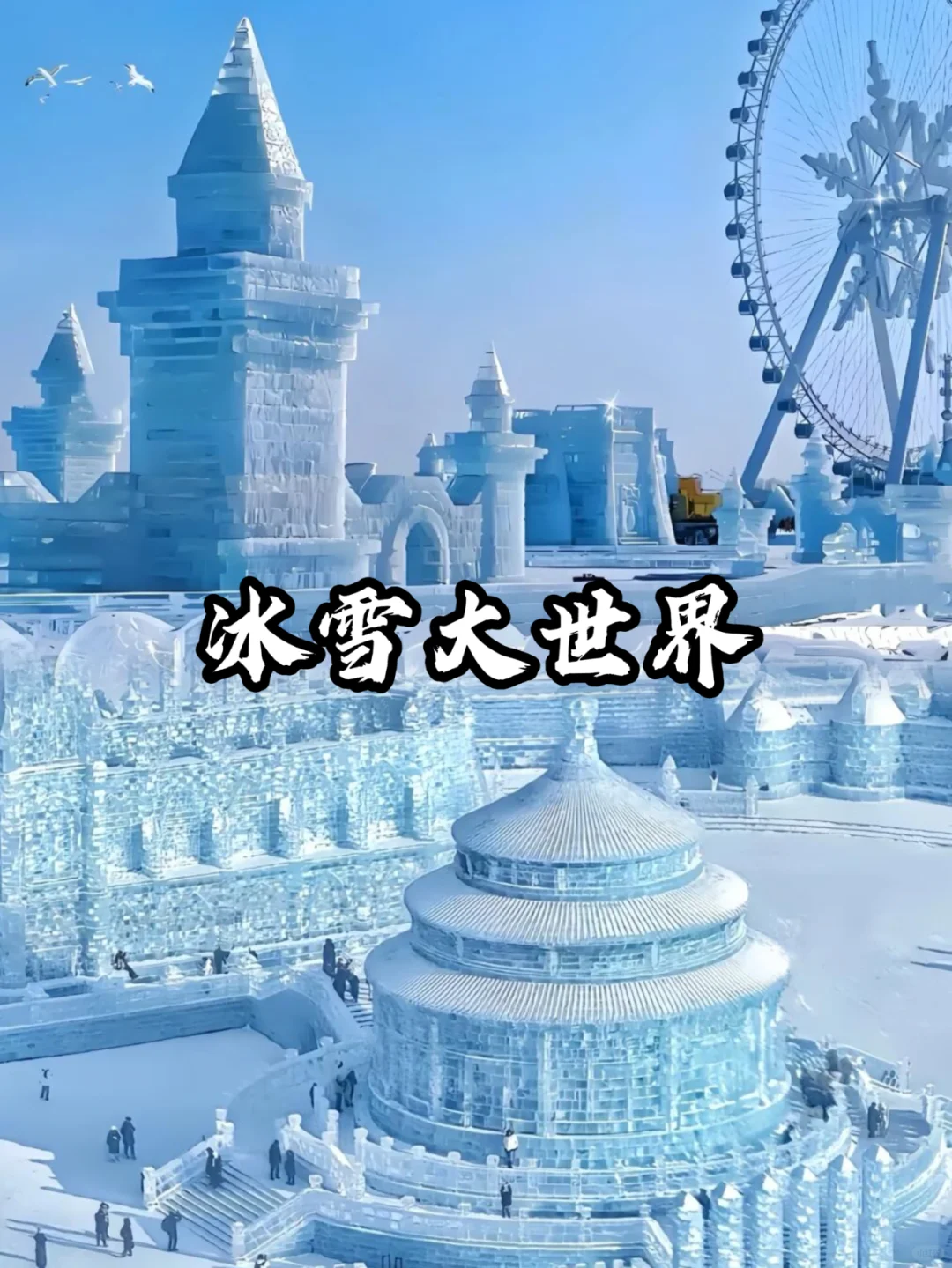 第一次去东北的正确游玩顺序❗东北旅游攻略