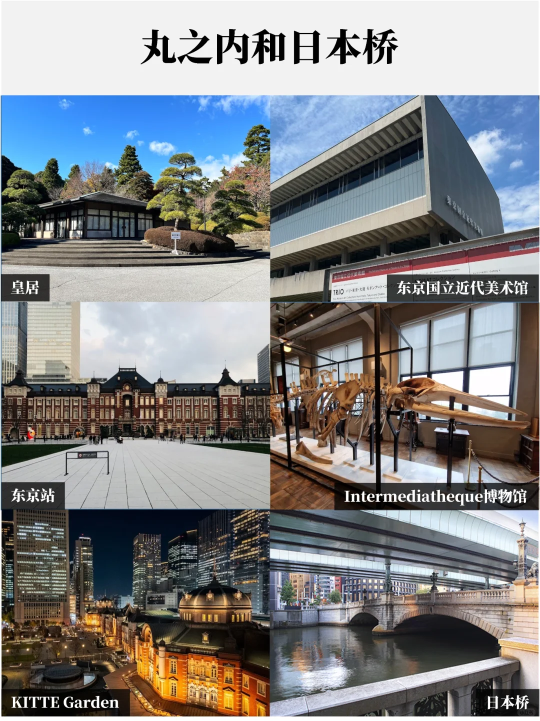 东京超全景点盘点🤙赶紧收藏码住❗️