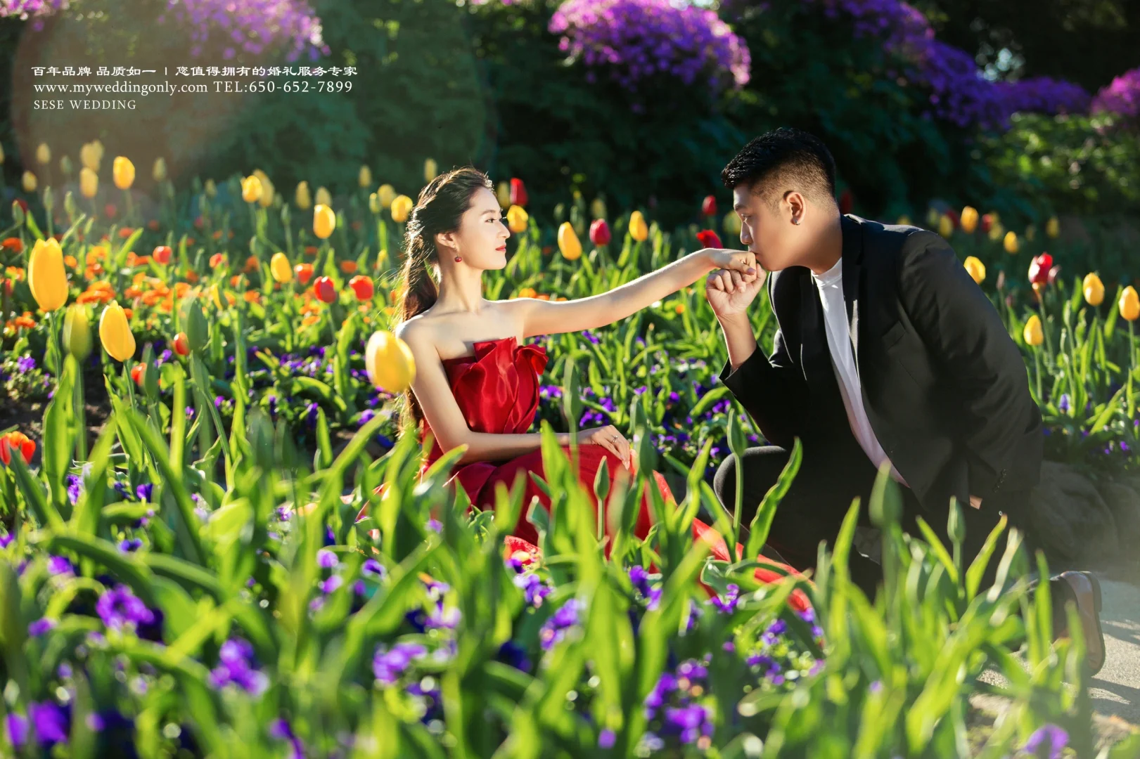 色色|加州单景点精选——荷兰风车