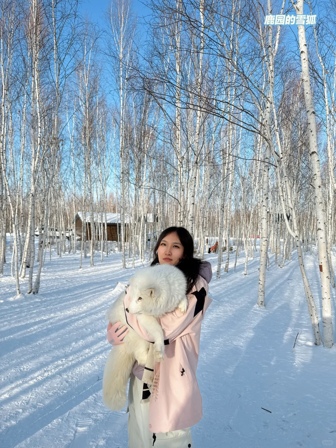 南方人的漠河冰雪之旅 必逛景点&避坑指南