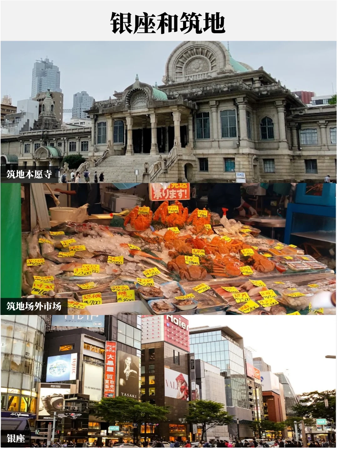 东京超全景点盘点🤙赶紧收藏码住❗️