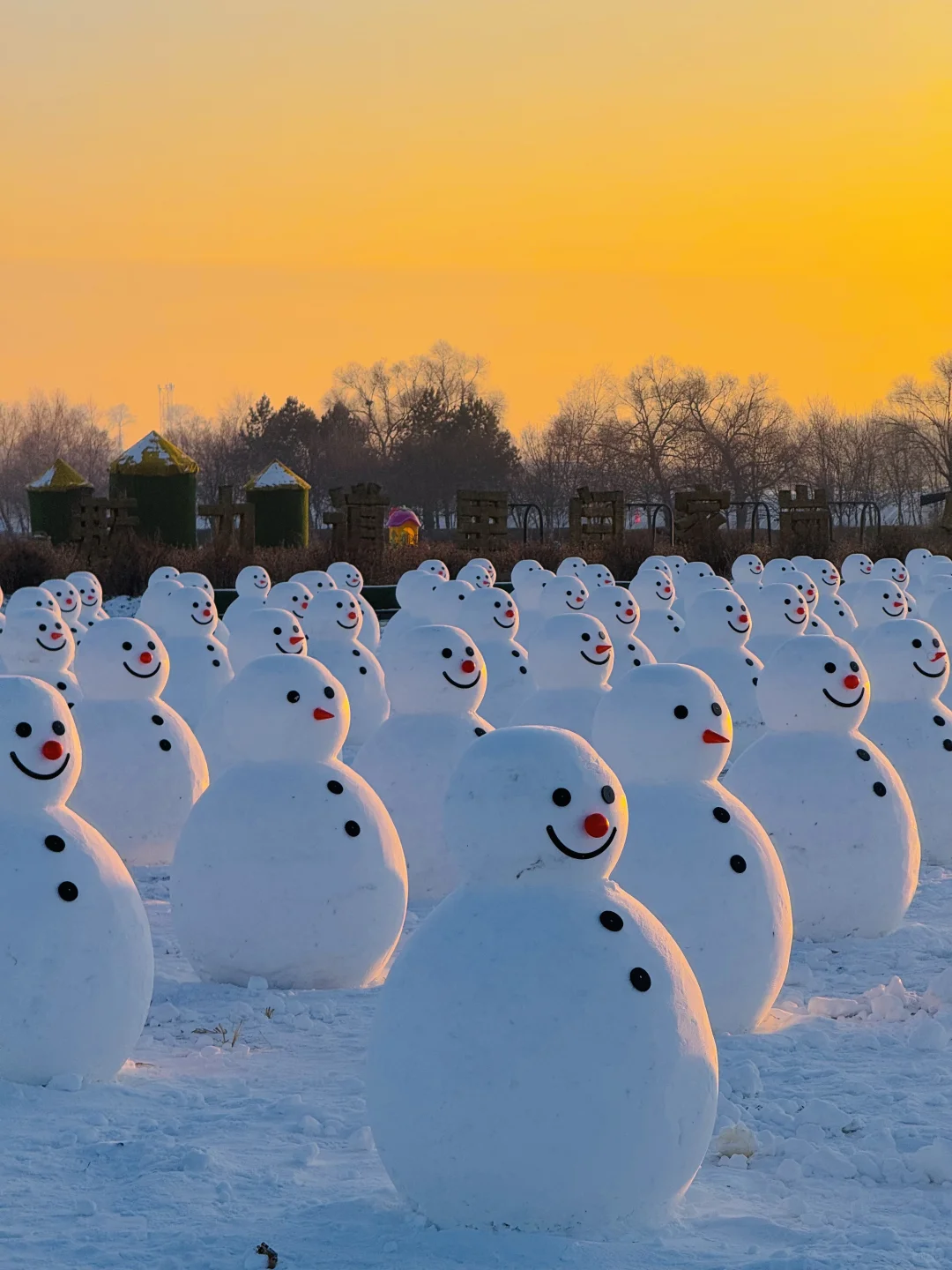 哈尔滨刚回，对自己的攻略满意到睡不着😭😭