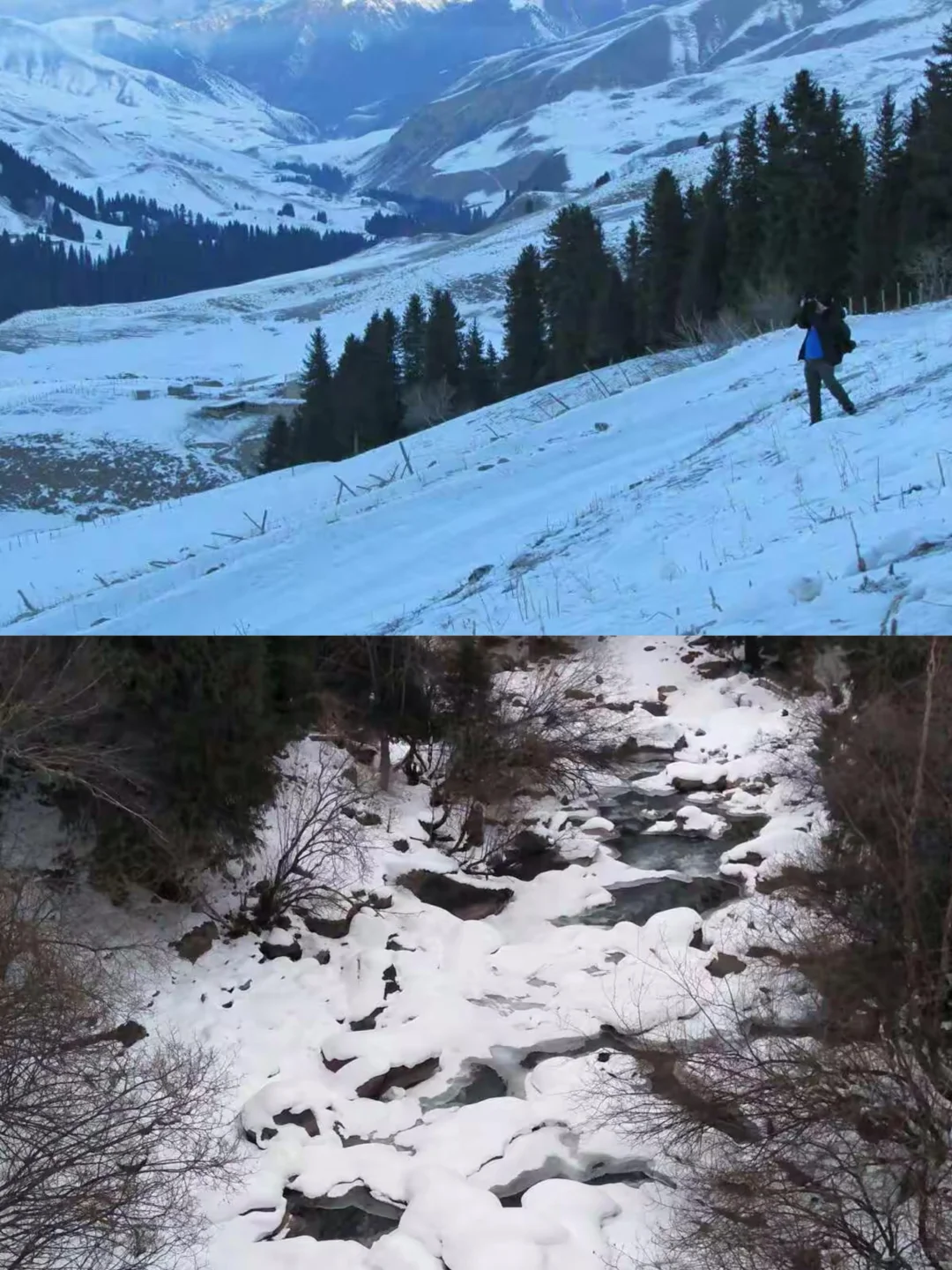 伊犁小县城大魅力的特克斯旅游攻略