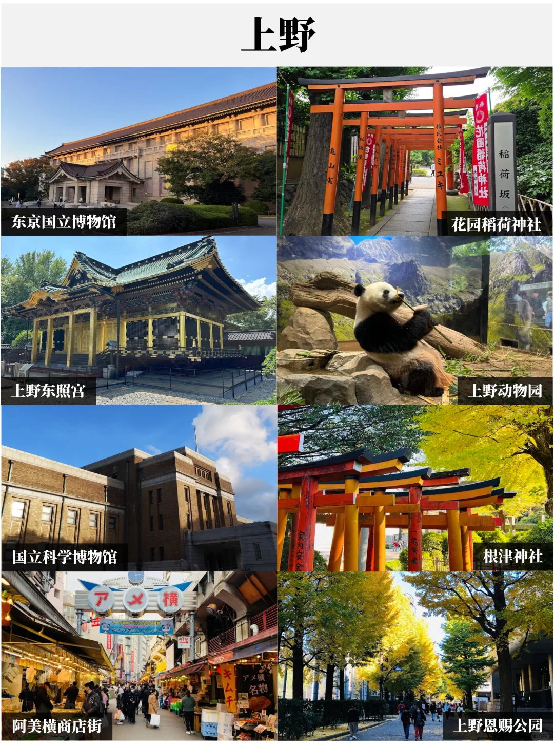 东京超全景点盘点🤙赶紧收藏码住❗️