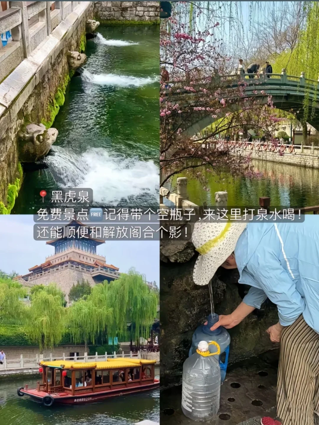 邯郸到济南，打卡夏雨荷花灯雕塑。趵突泉等