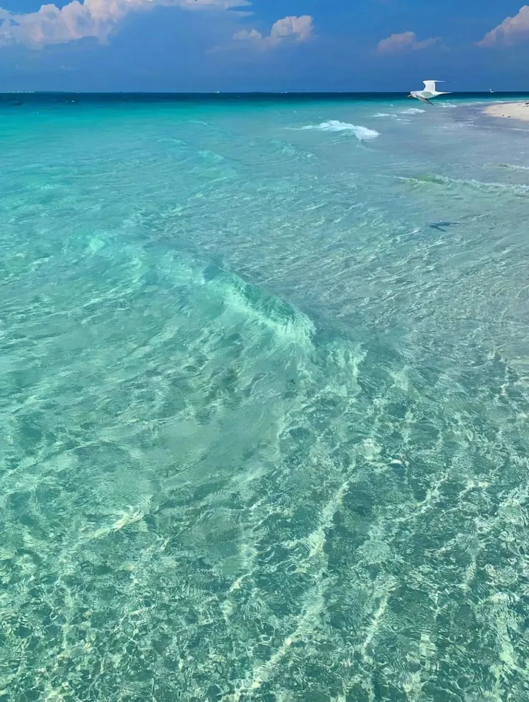 深圳大鹏半岛📍景点合集1⃣ 深圳天文台🌟