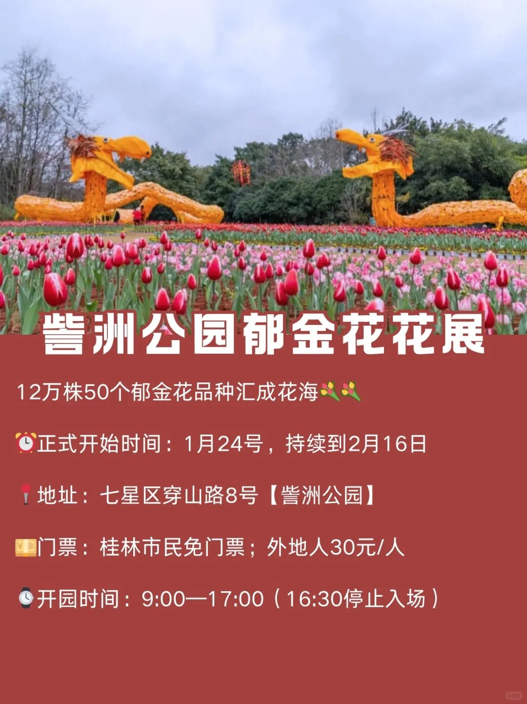 报❗2025春节桂林阳朔各景点营业时间通知