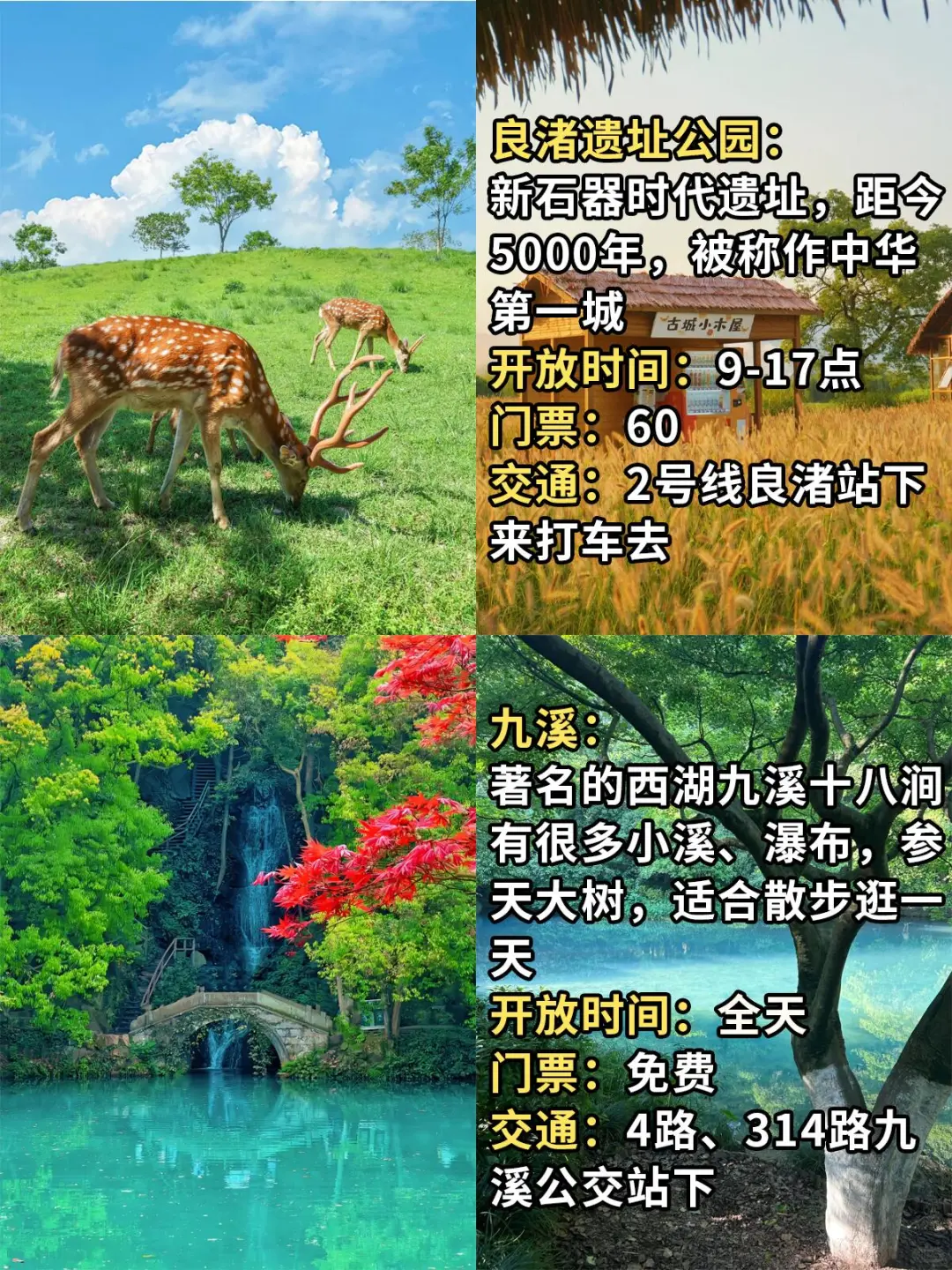 春节带爸妈逛杭州，认准本地人去的12个景点