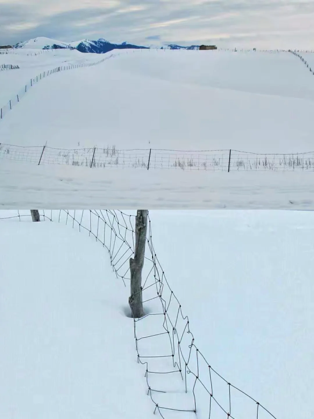 伊犁小县城大魅力的特克斯旅游攻略