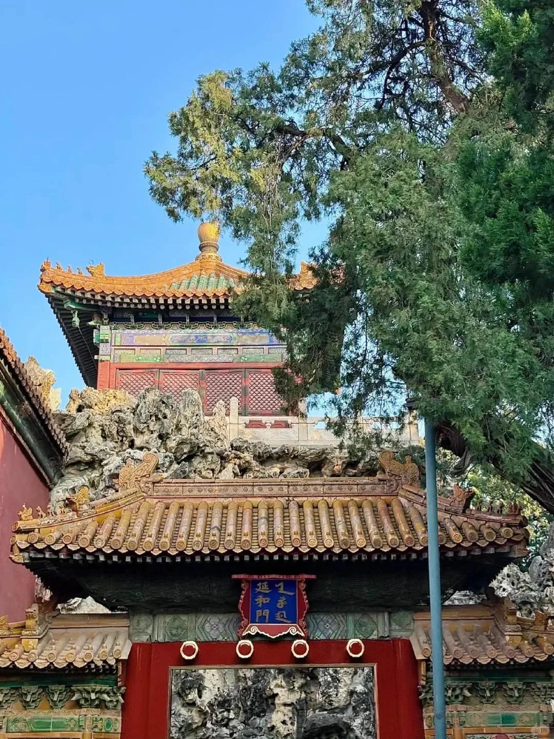 三人北京已回，这边给的建议是.......