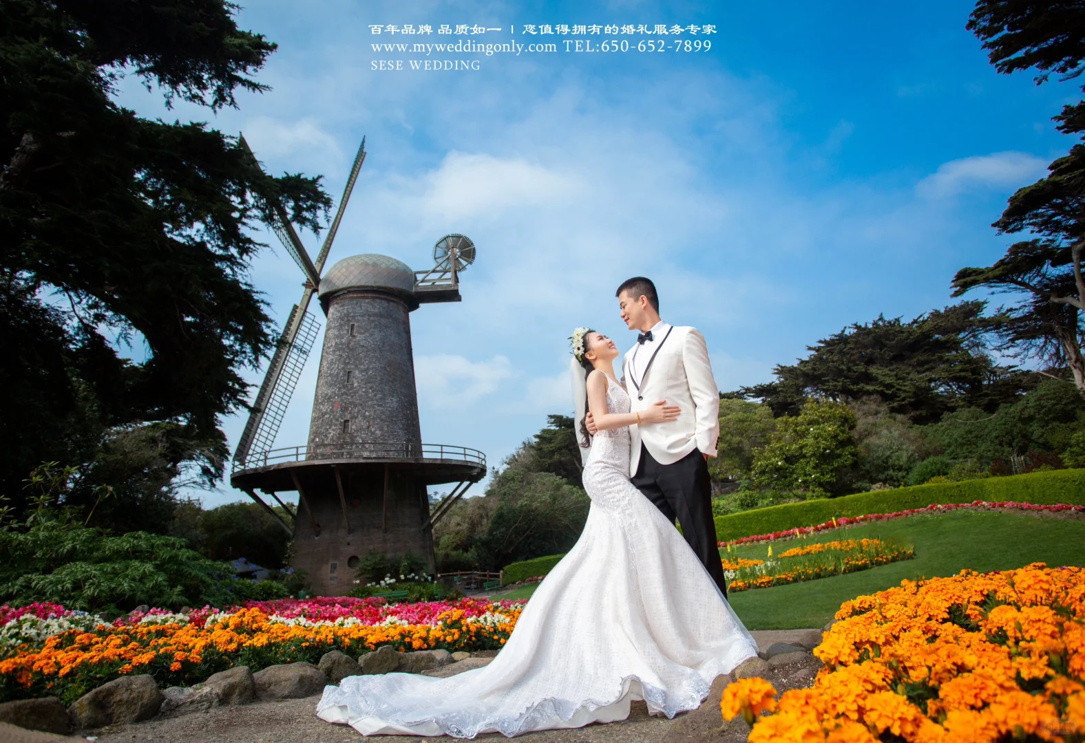 色色|加州单景点精选——荷兰风车