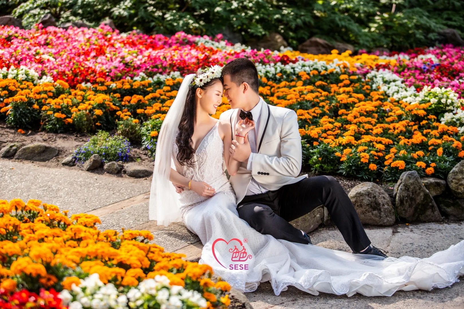 色色|加州单景点精选——荷兰风车