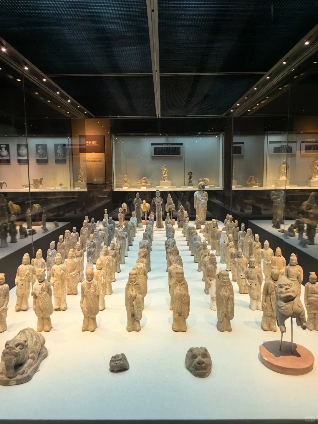 📍沧州必去九大景点❗️❗️