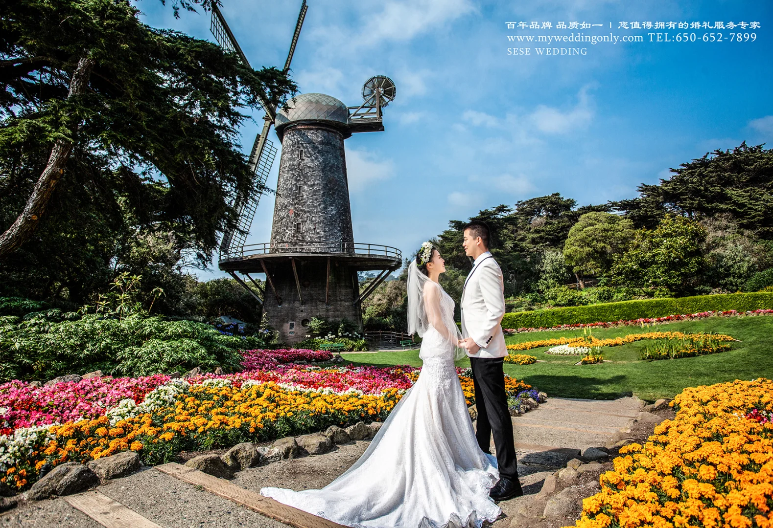 色色|加州单景点精选——荷兰风车