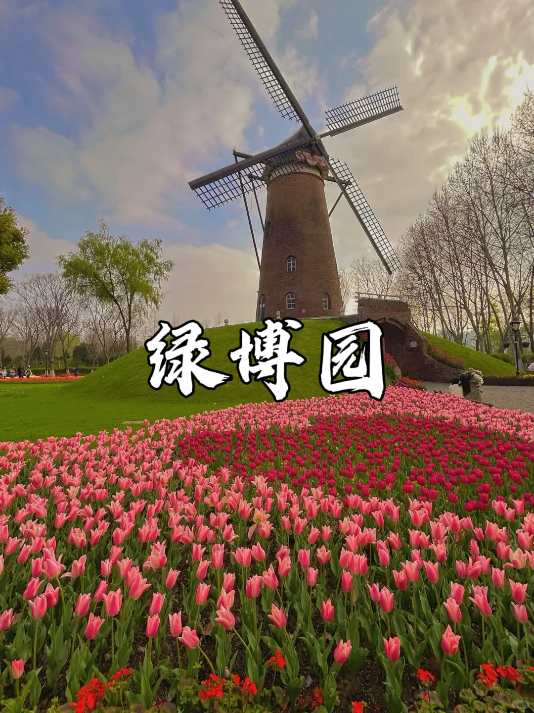 郑州 9 大景点必打卡❗ 旅游前必看✨