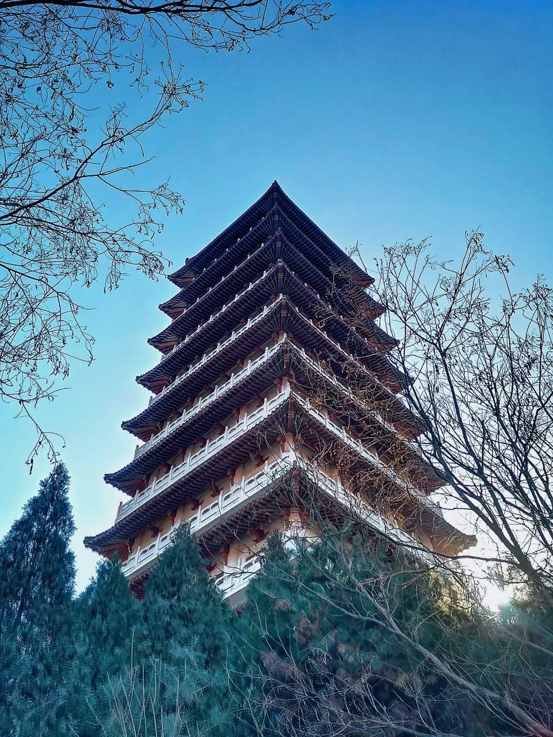 邯郸游玩：小游临漳七子园