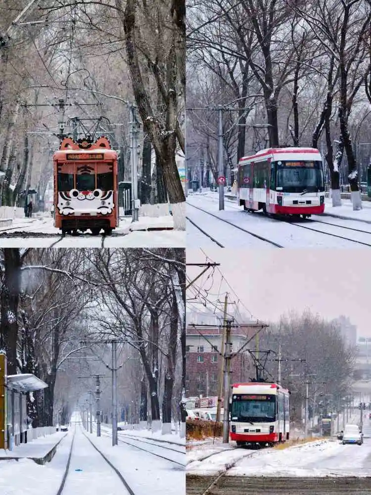 温暖冬日！长春冬天必逛十大景点推荐