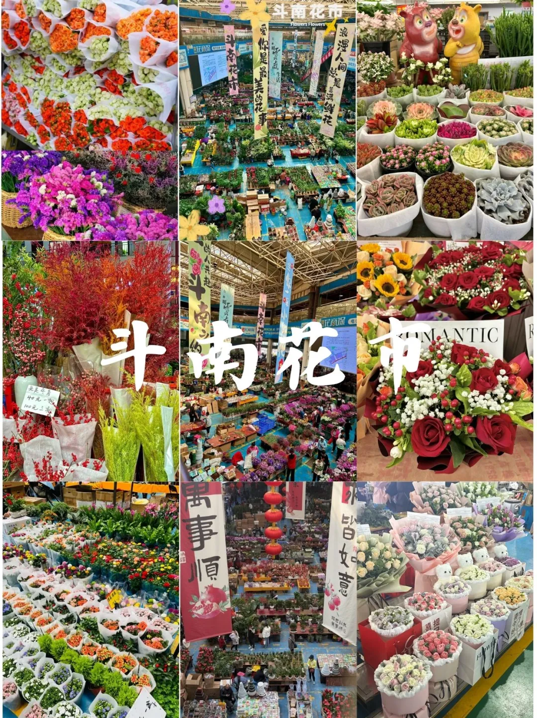 别再瞎找啦！昆明这几个景点超绝✨