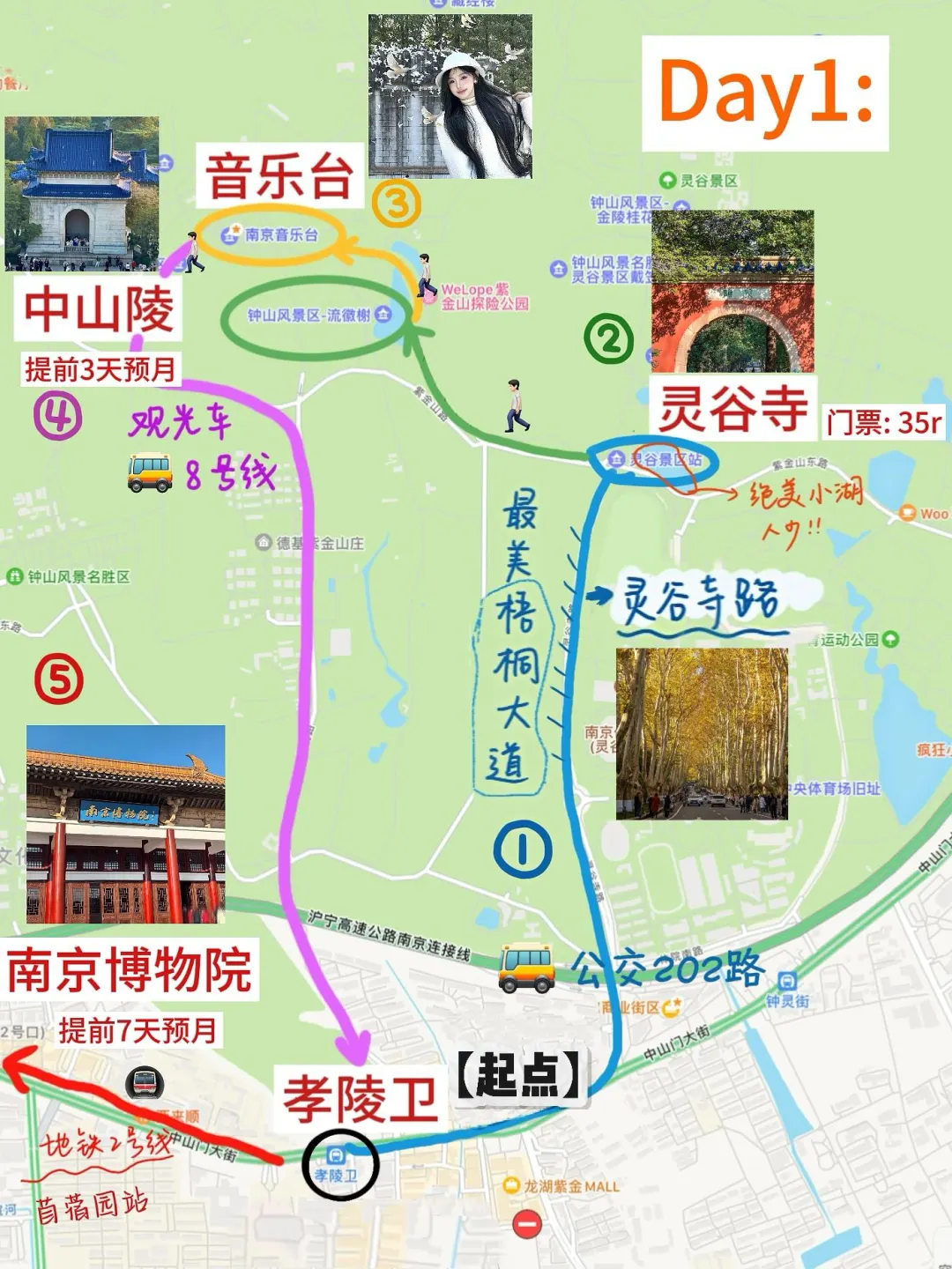 寒假不绕路游南京，有这篇手绘地图就够了🔥