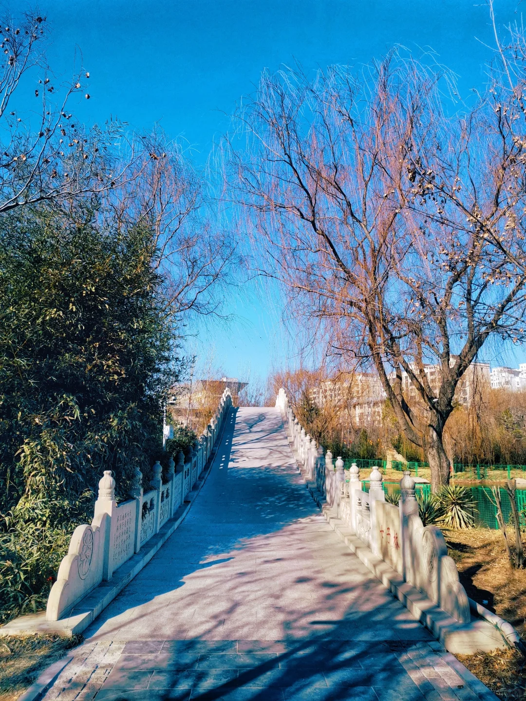 邯郸游玩：小游临漳七子园