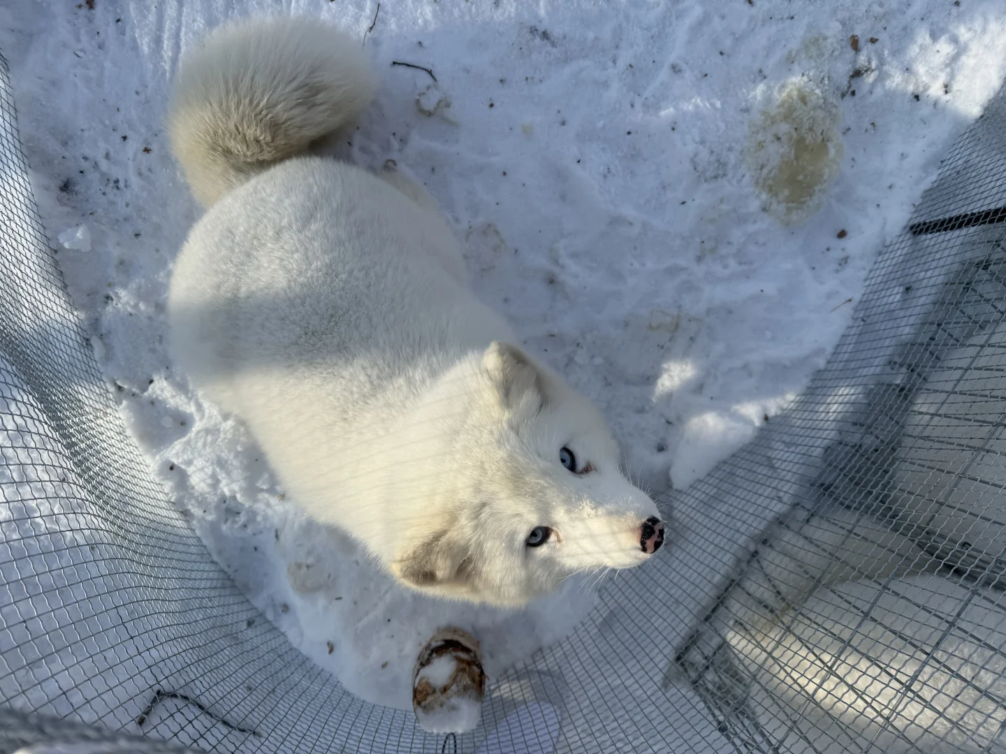 南方人的漠河冰雪之旅 必逛景点&避坑指南